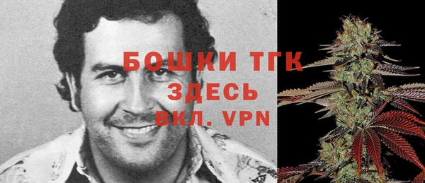 ГАЛЛЮЦИНОГЕННЫЕ ГРИБЫ Алексин