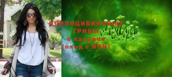молекула духа Алзамай