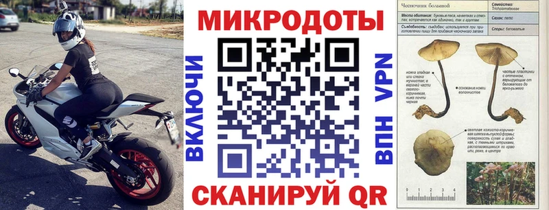 Псилоцибиновые грибы прущие грибы  Купить где  Тетюши 